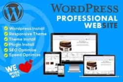 WordPress development 